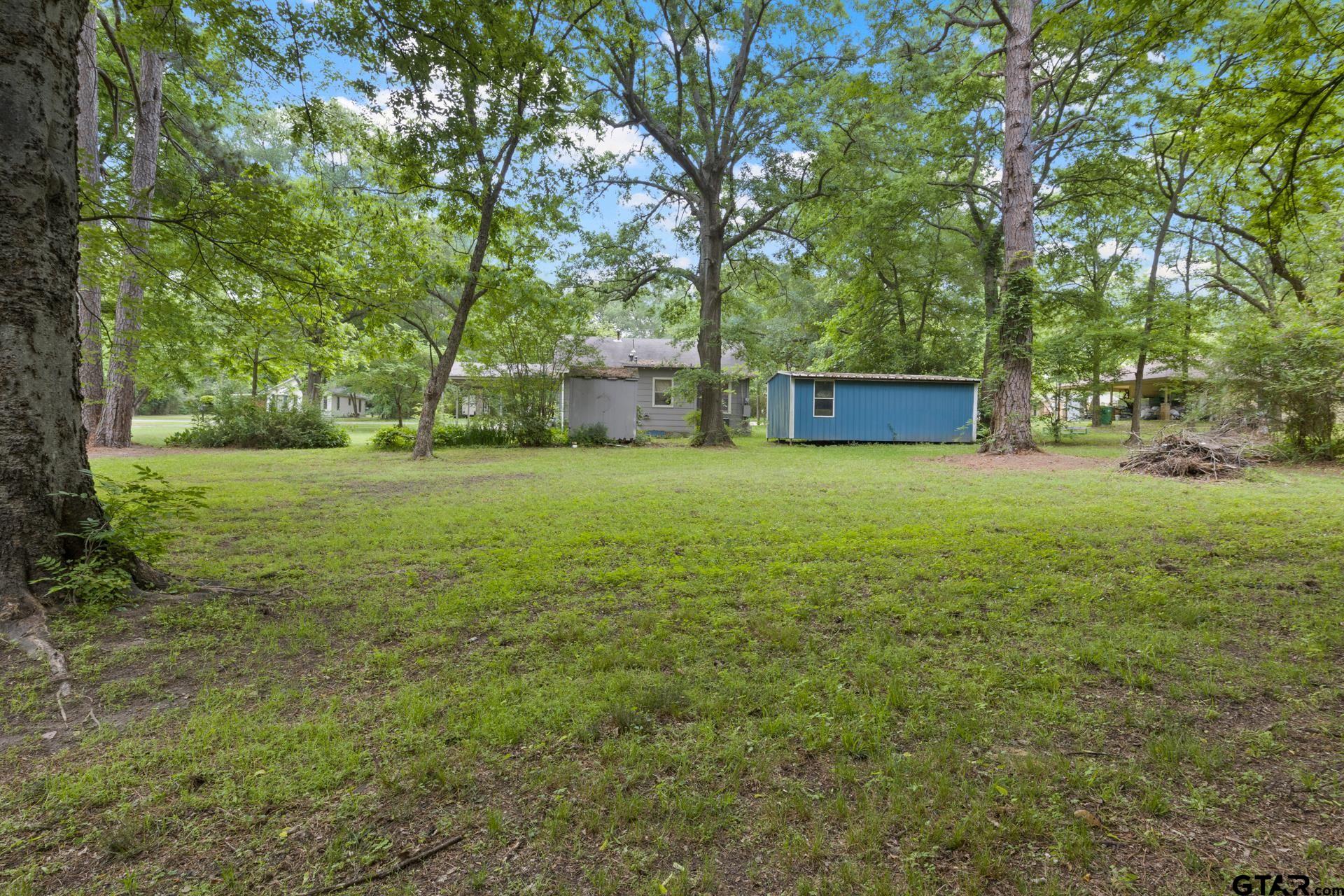 403 Pace Street Naples, TX 75568 - Photo 36 of 36