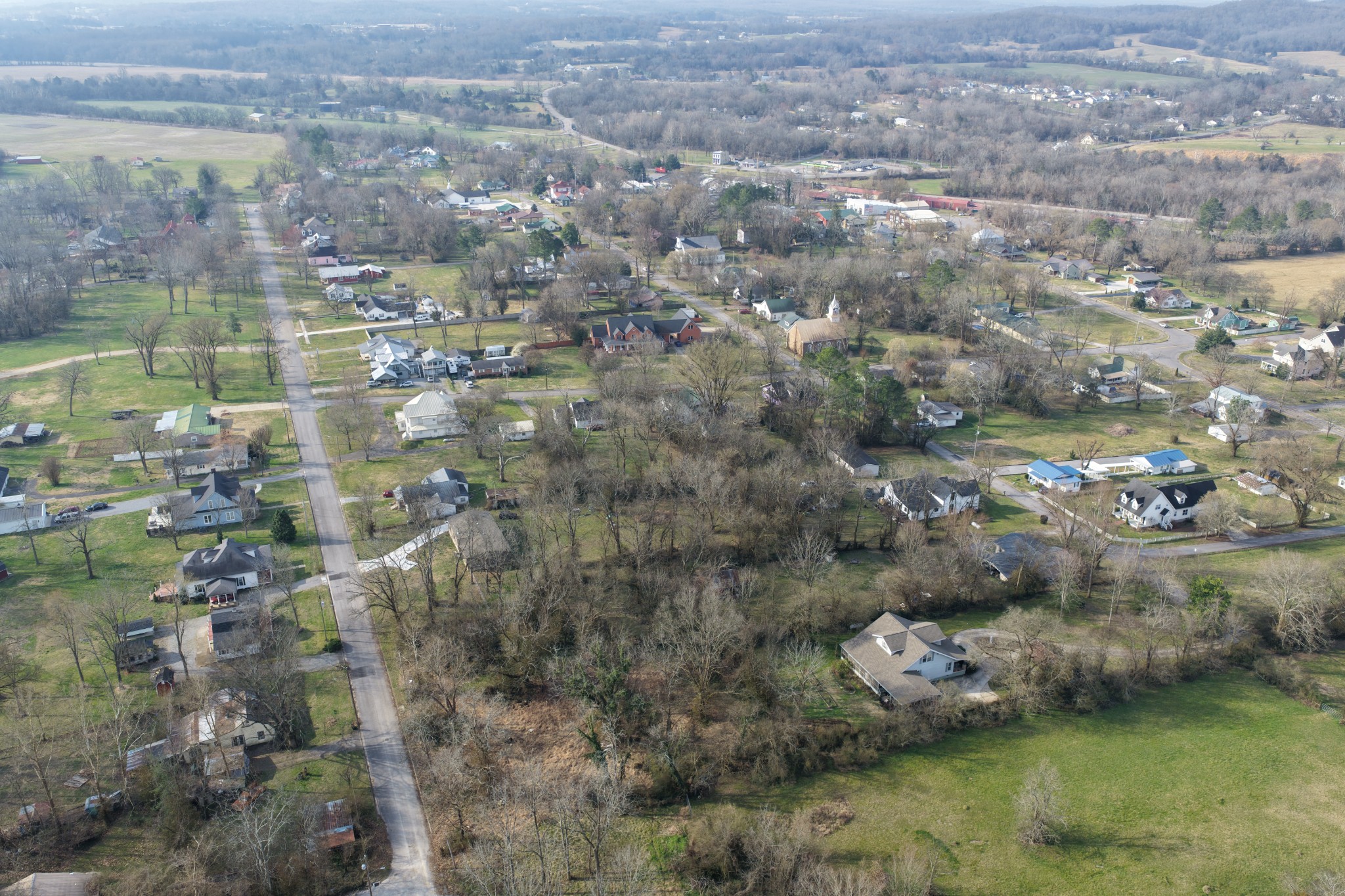 317 Maple Street Bell Buckle, TN 37020 - Photo 3 of 4 a view of lake background