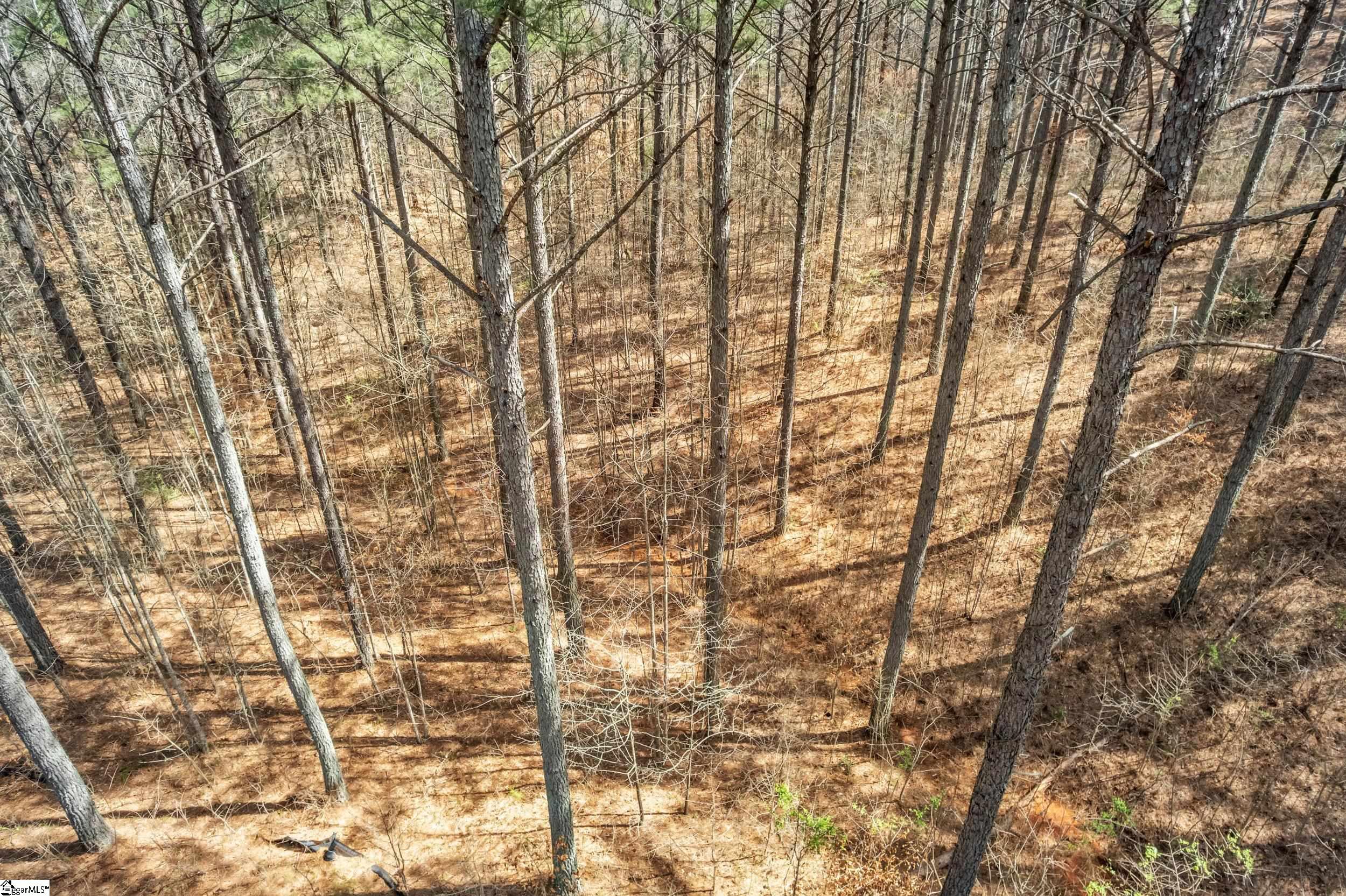 0 High Hampton Road, Unit LOT 37 HIGHLAND SHORES AT KEOWEE Salem, SC 29676 - Photo 24 of 27