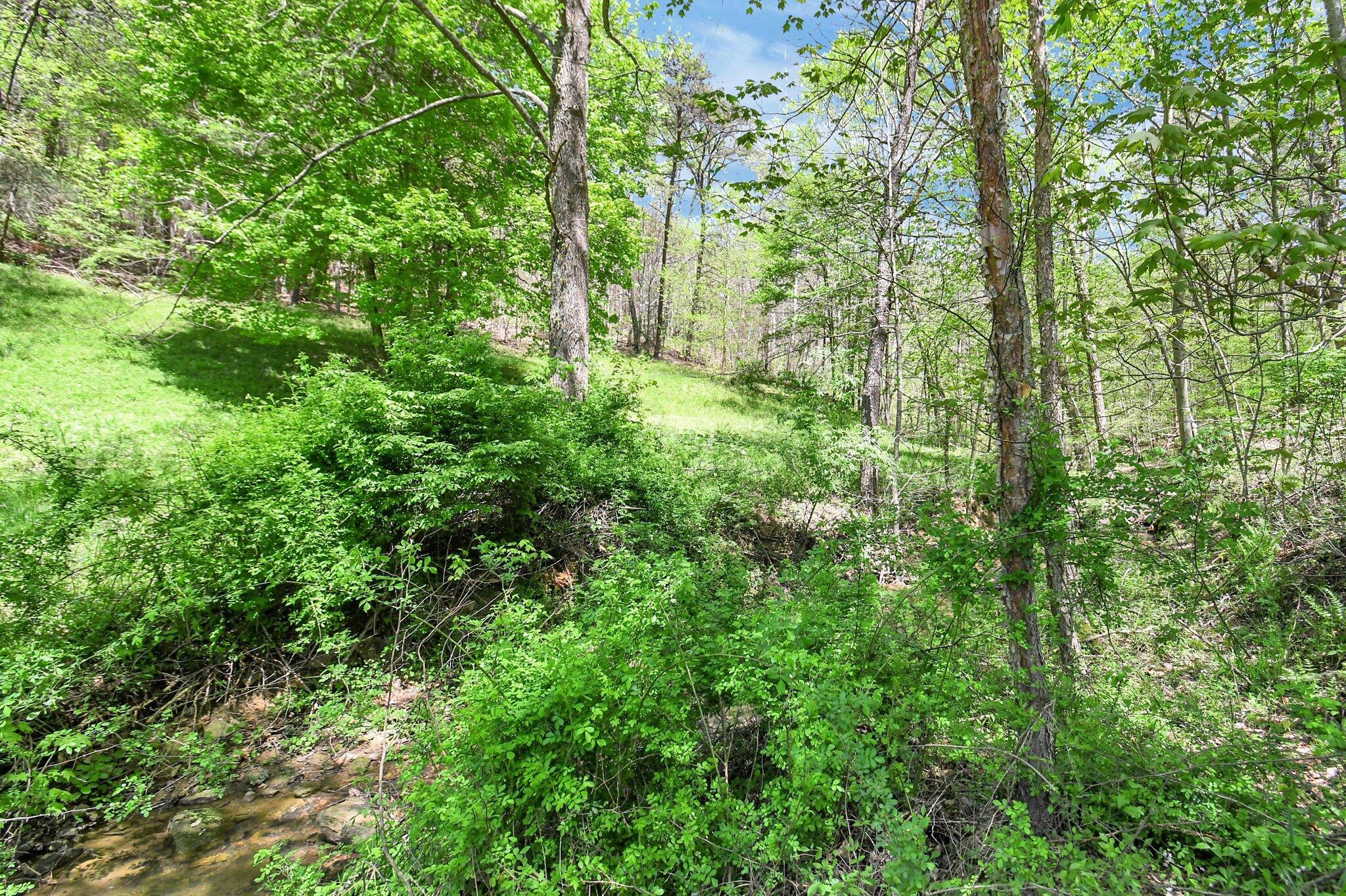 35041 Hunter Road Logan, OH 43138 - Photo 45 of 109 45-web-or-mls-35041-hunter-rd