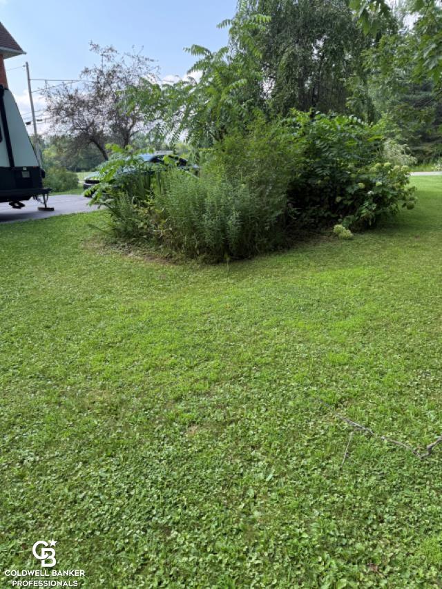 10729 Brandon Road Emmett, MI 48022 - Photo 34 of 48