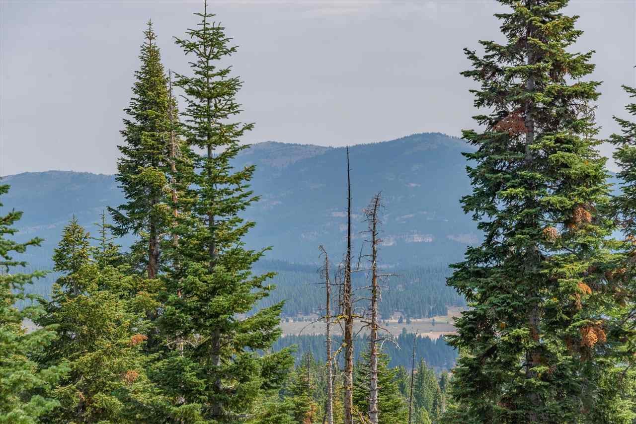 11494 Alder Hill Road Truckee, CA 96161 - Photo 12 of 21 an aerial view of residential house with outdoor space and trees all around
