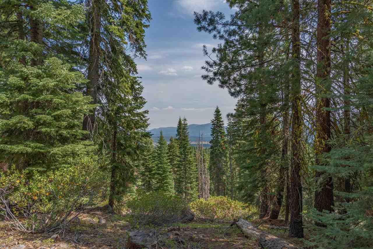 11494 Alder Hill Road Truckee, CA 96161 - Photo 13 of 21 a view of a city with lush green forest