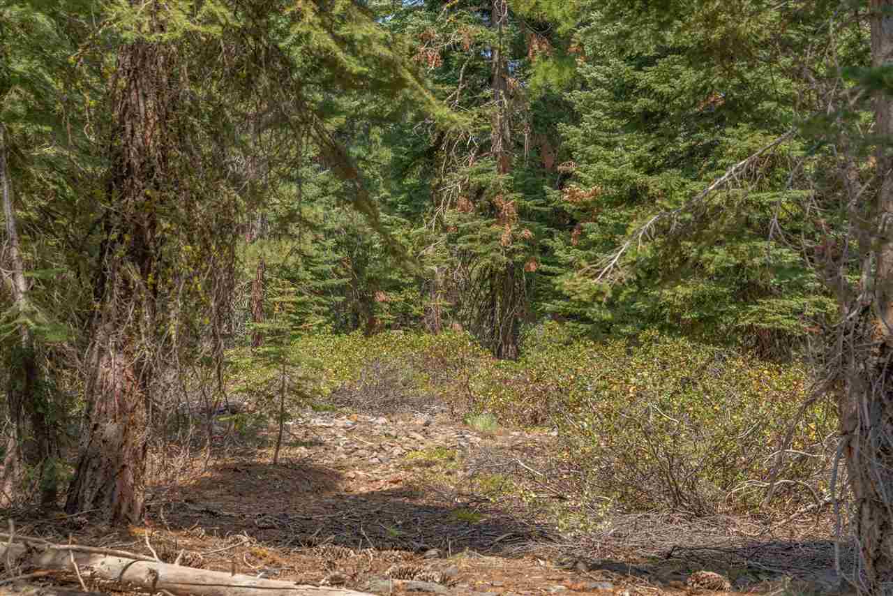 11494 Alder Hill Road Truckee, CA 96161 - Photo 14 of 21 a view of a yard