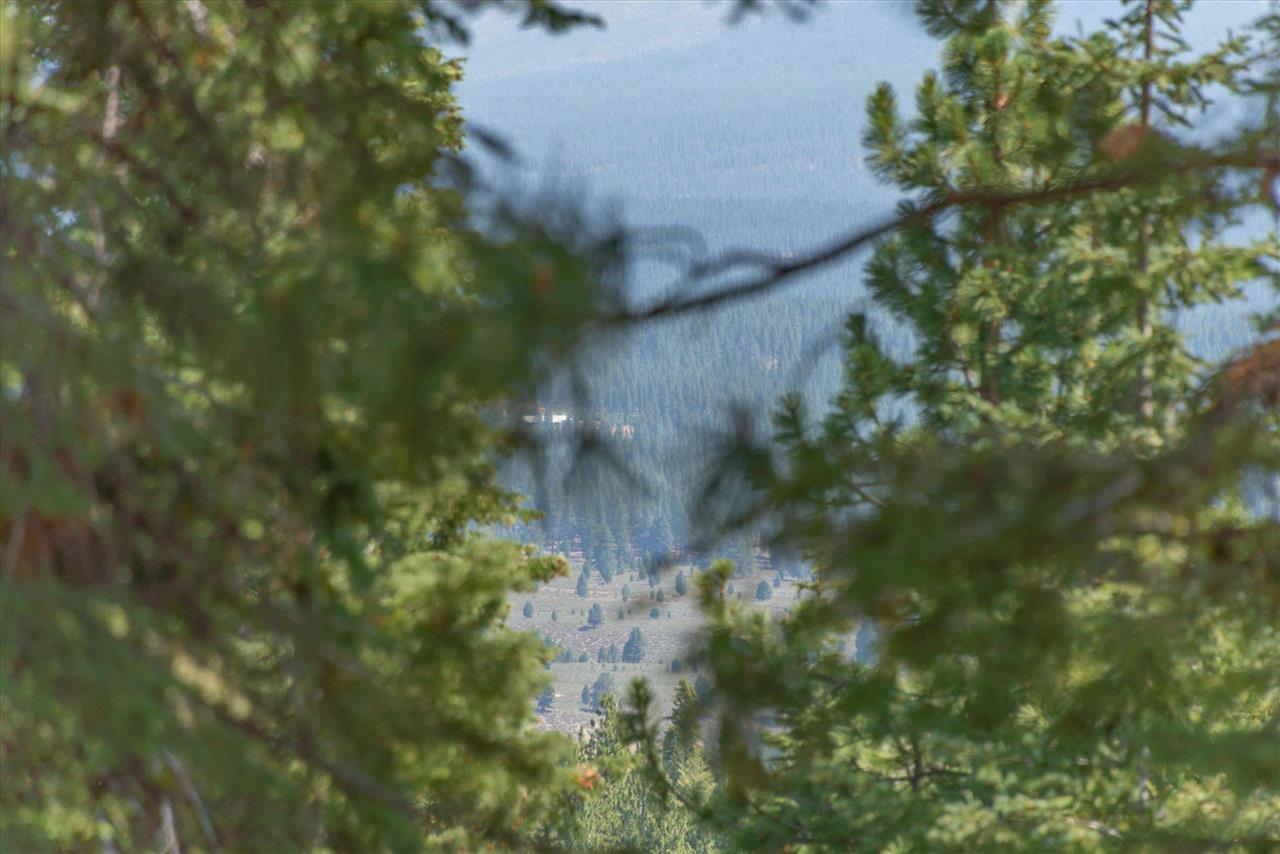 11494 Alder Hill Road Truckee, CA 96161 - Photo 15 of 21 a view of a yard