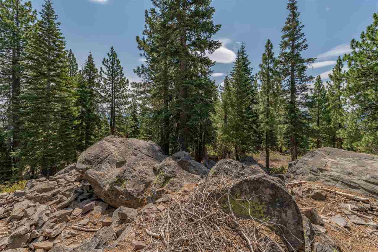 11494 Alder Hill Road Truckee, CA 96161 - Photo 17 of 21 a view of a large yard with lots of bushes