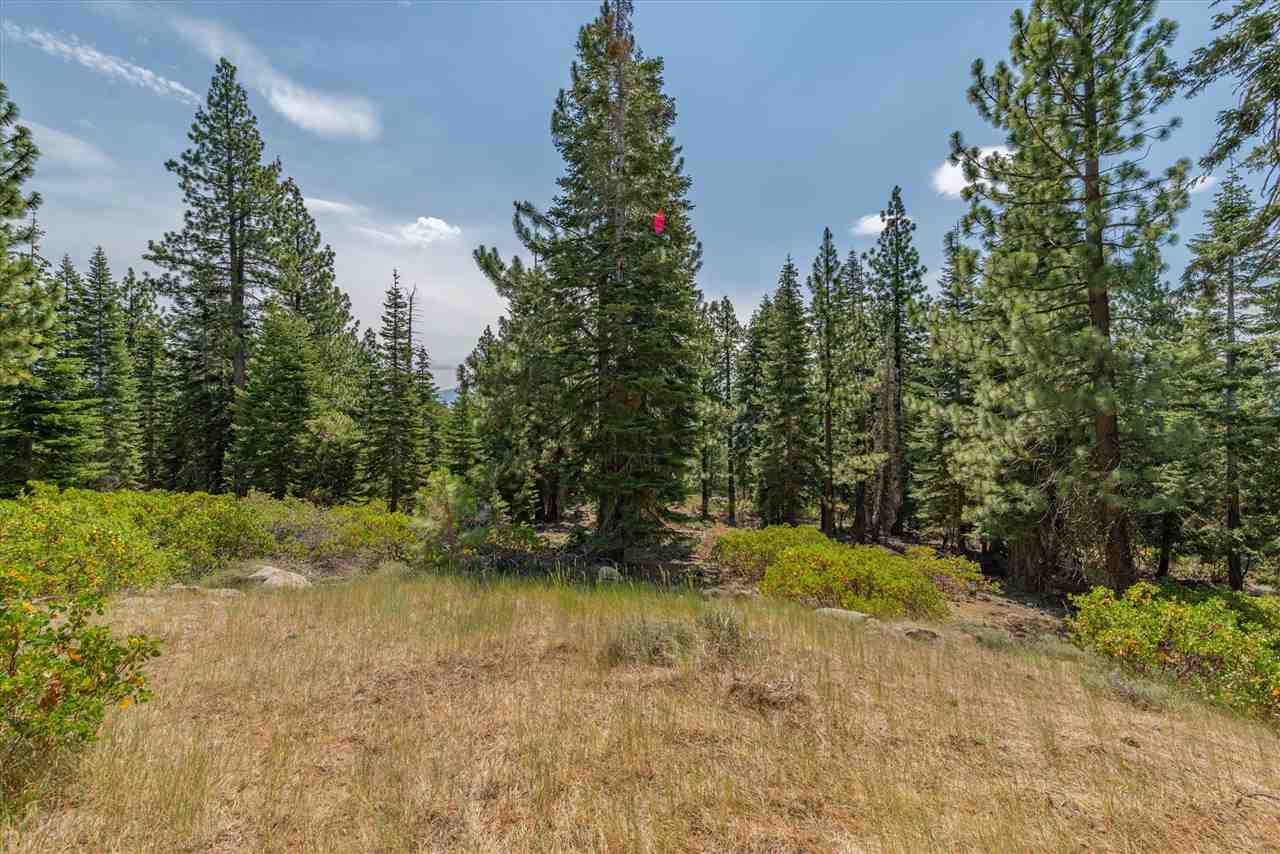11494 Alder Hill Road Truckee, CA 96161 - Photo 18 of 21 a view of outdoor space and yard