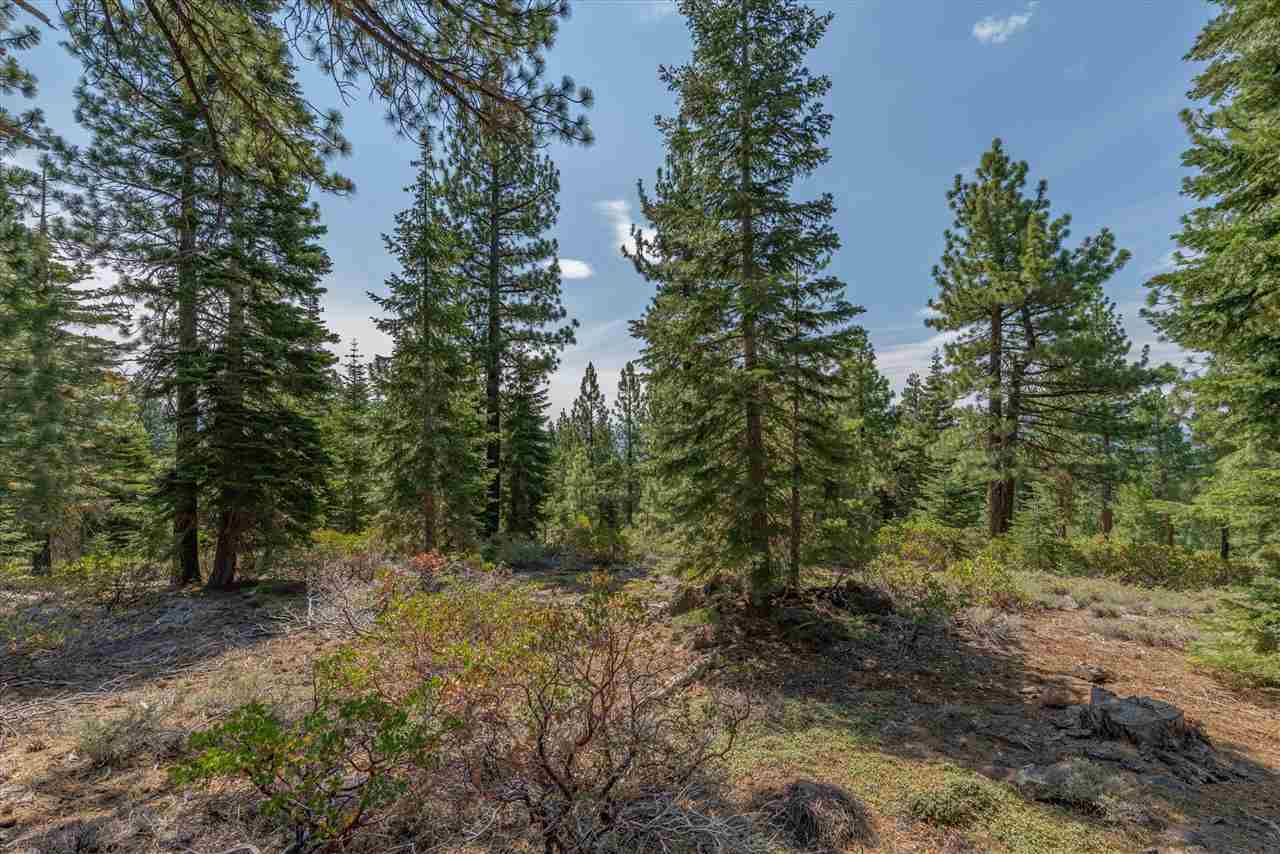11494 Alder Hill Road Truckee, CA 96161 - Photo 19 of 21 a view of a forest with trees in the background