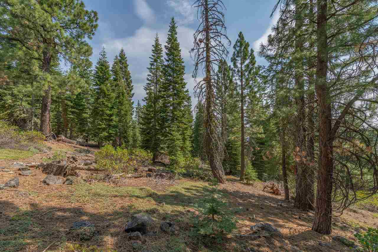11494 Alder Hill Road Truckee, CA 96161 - Photo 20 of 21 a view of outdoor space and trees
