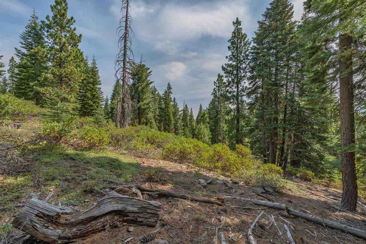 11494 Alder Hill Road Truckee, CA 96161 - Photo 21 of 21 a big yard with lots of green space