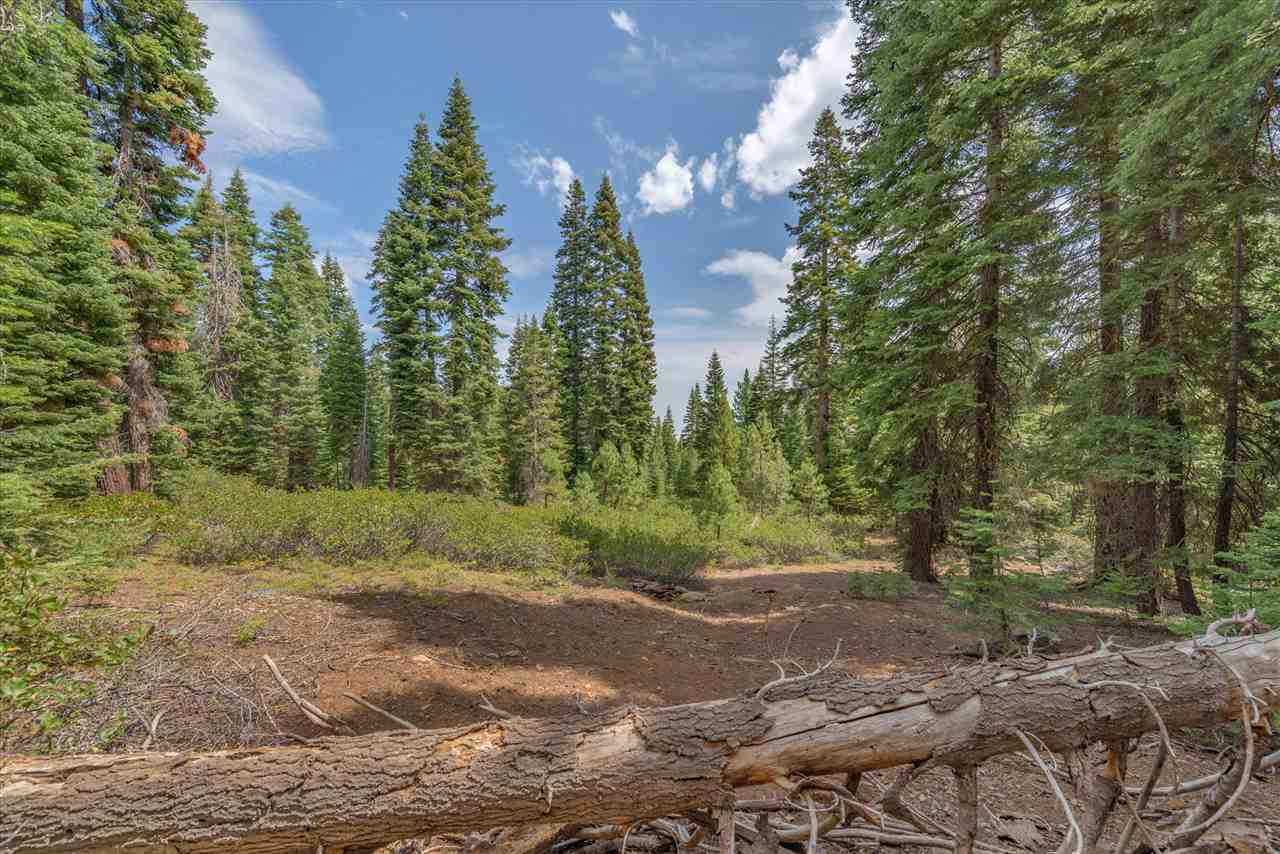 11494 Alder Hill Road Truckee, CA 96161 - Photo 4 of 21 a view of a forest with trees