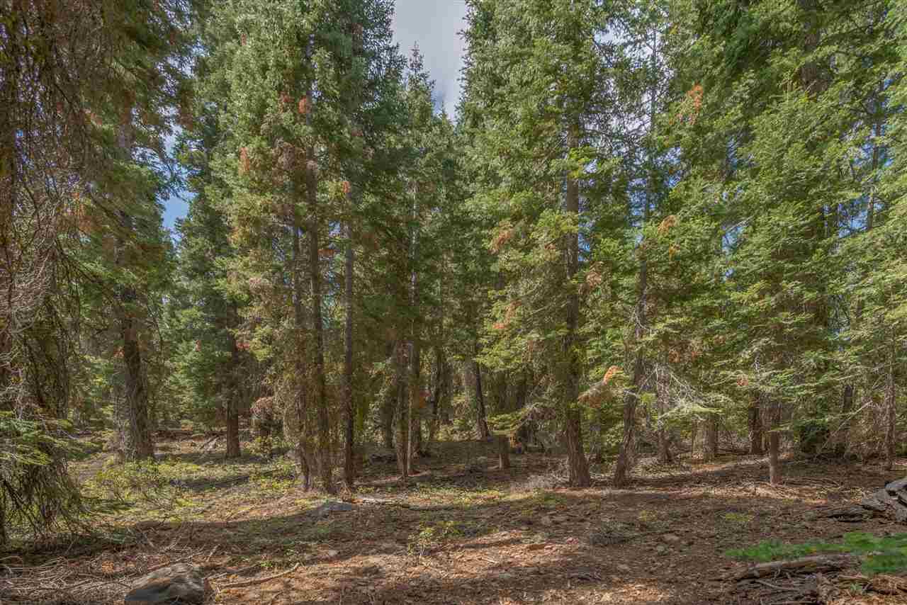 11494 Alder Hill Road Truckee, CA 96161 - Photo 5 of 21 a view of outdoor space with trees