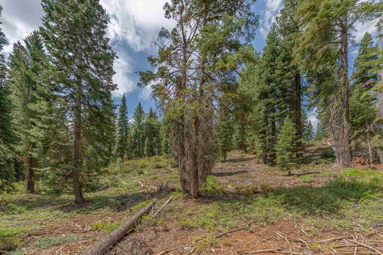 11494 Alder Hill Road Truckee, CA 96161 - Photo 6 of 21 a view of outdoor space and trees
