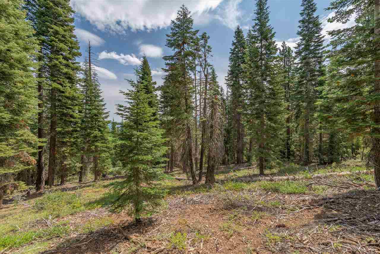 11494 Alder Hill Road Truckee, CA 96161 - Photo 7 of 21 a view of outdoor space with trees