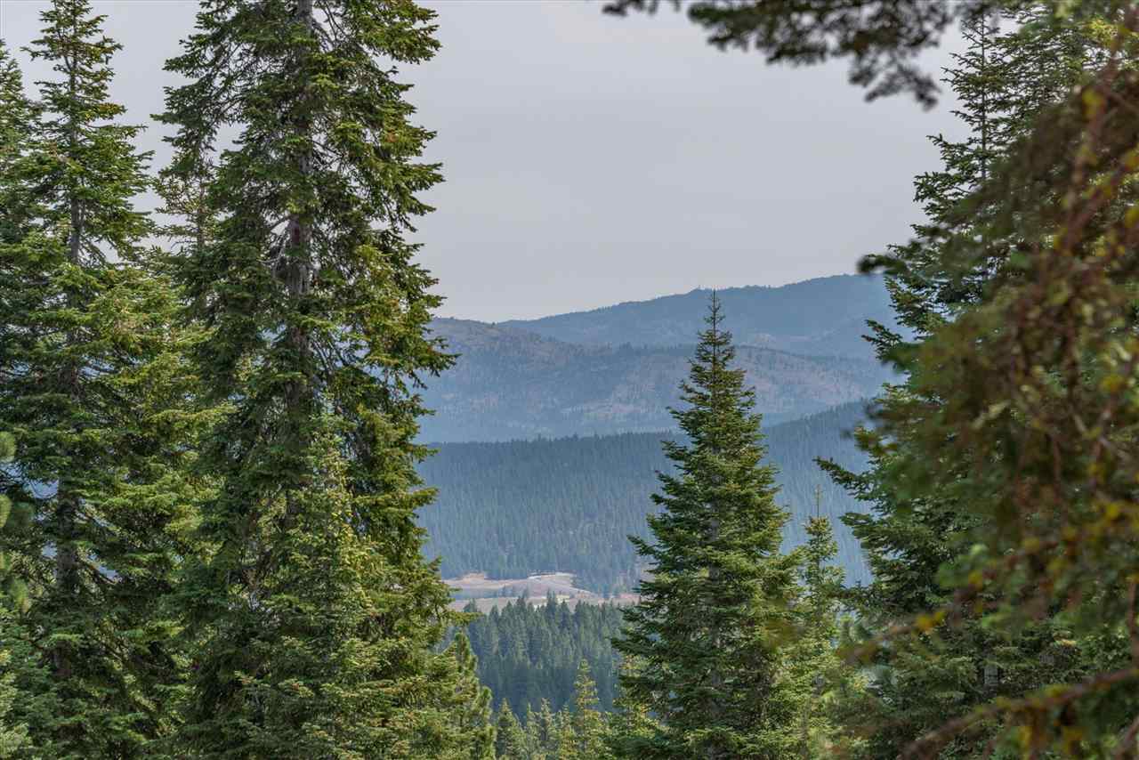 11494 Alder Hill Road Truckee, CA 96161 - Photo 8 of 21 an aerial view of a house with a yard