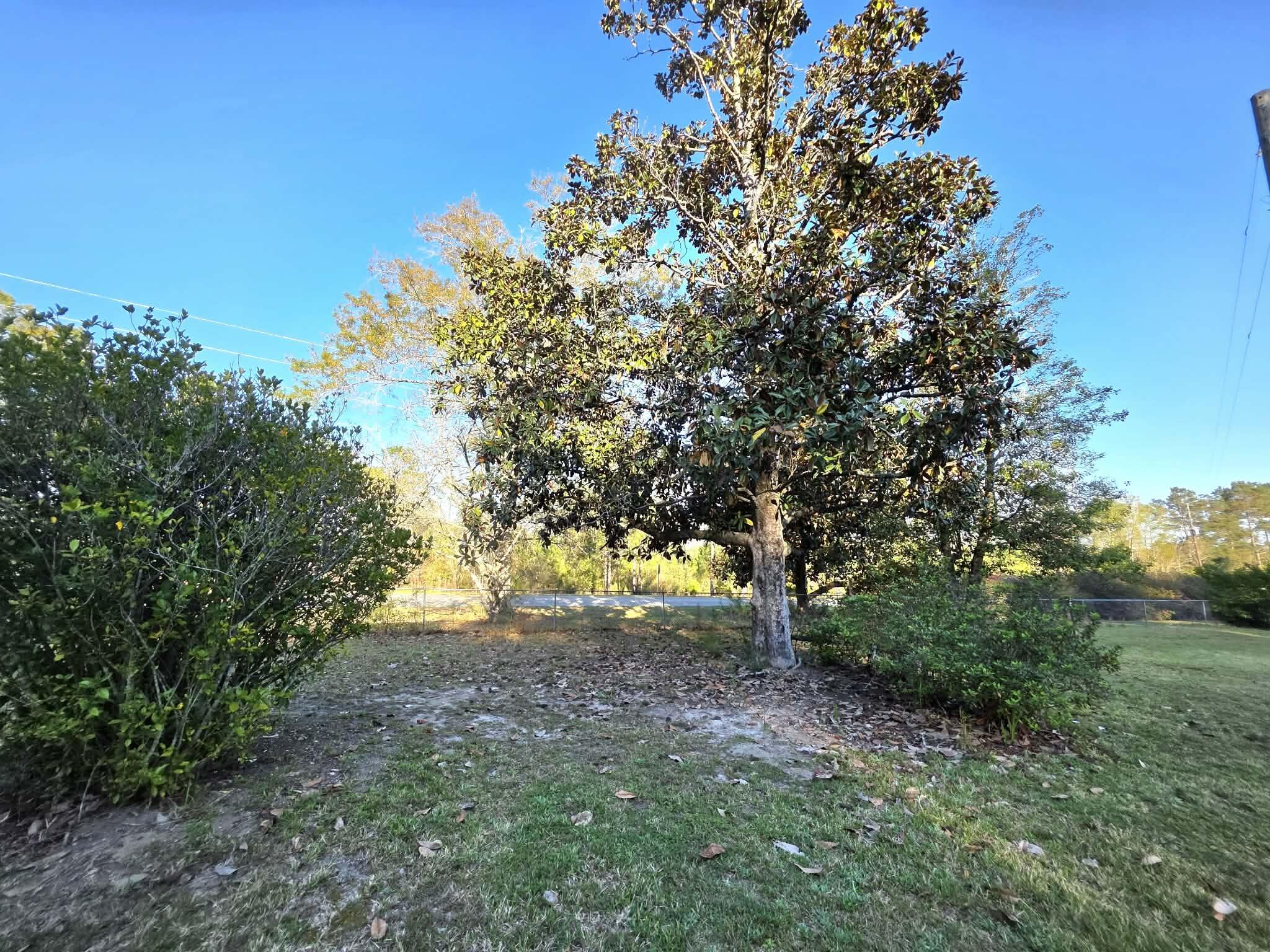 4439 Glen Chambers Road Florala, AL 36442 - Photo 3 of 13 19f45baa-58d1-4ba1-9030-9e97445da716