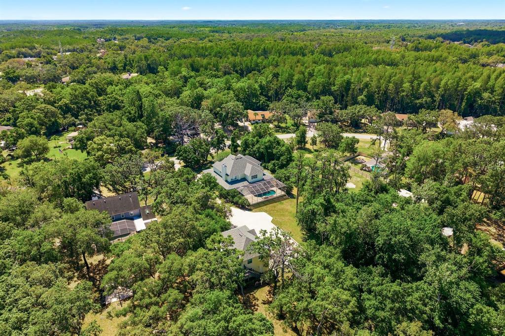 6615 Ridge Top Drive New Port Richey, FL 34655 - Photo 54 of 57 Gallery Image 54