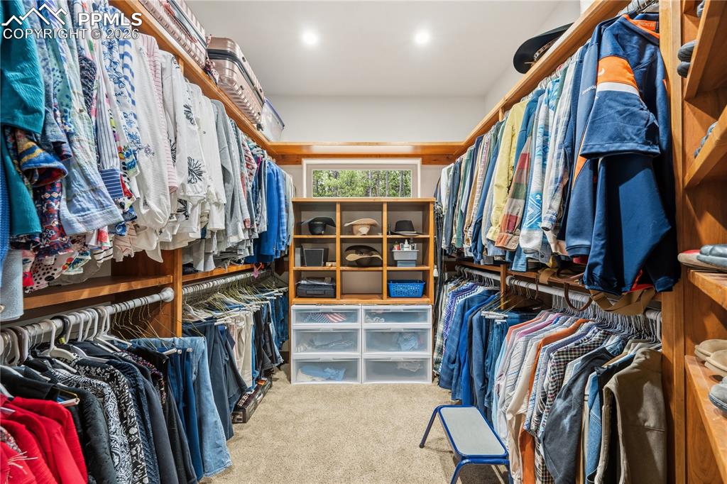 18890 Wing Tip Road Colorado Springs, CO 80908 - Photo 18 of 48 a view of walk in closet with clothes and shoes