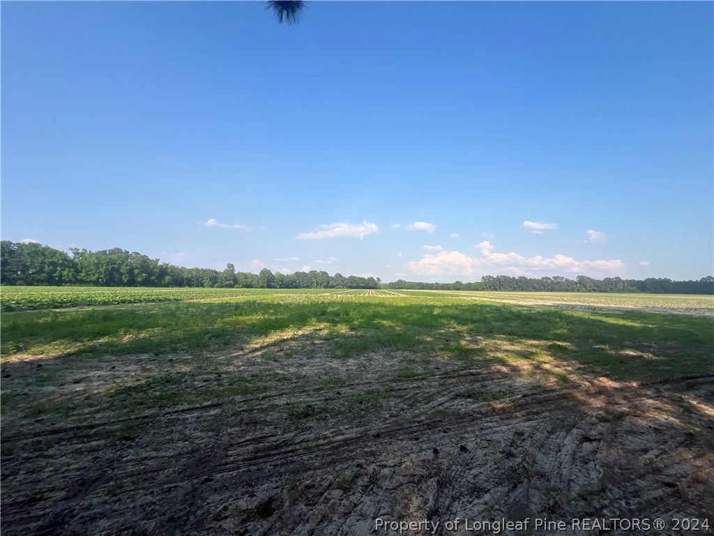 5725 Wade-Stedman Road Wade, NC 28395 - Photo 5 of 7 Gallery Image 5
