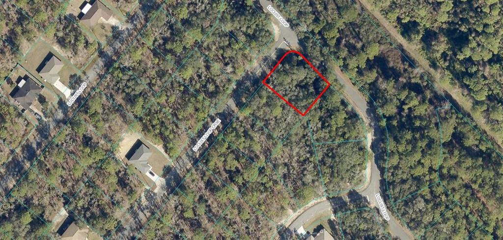 13 Locust Loop Ocala, FL 34472 - Photo 1 of 1 Gallery Image 1