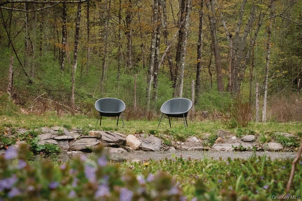 92 Fiddlers Bridge Road Staatsburg, NY 12580 - Photo 30 of 32 Pond