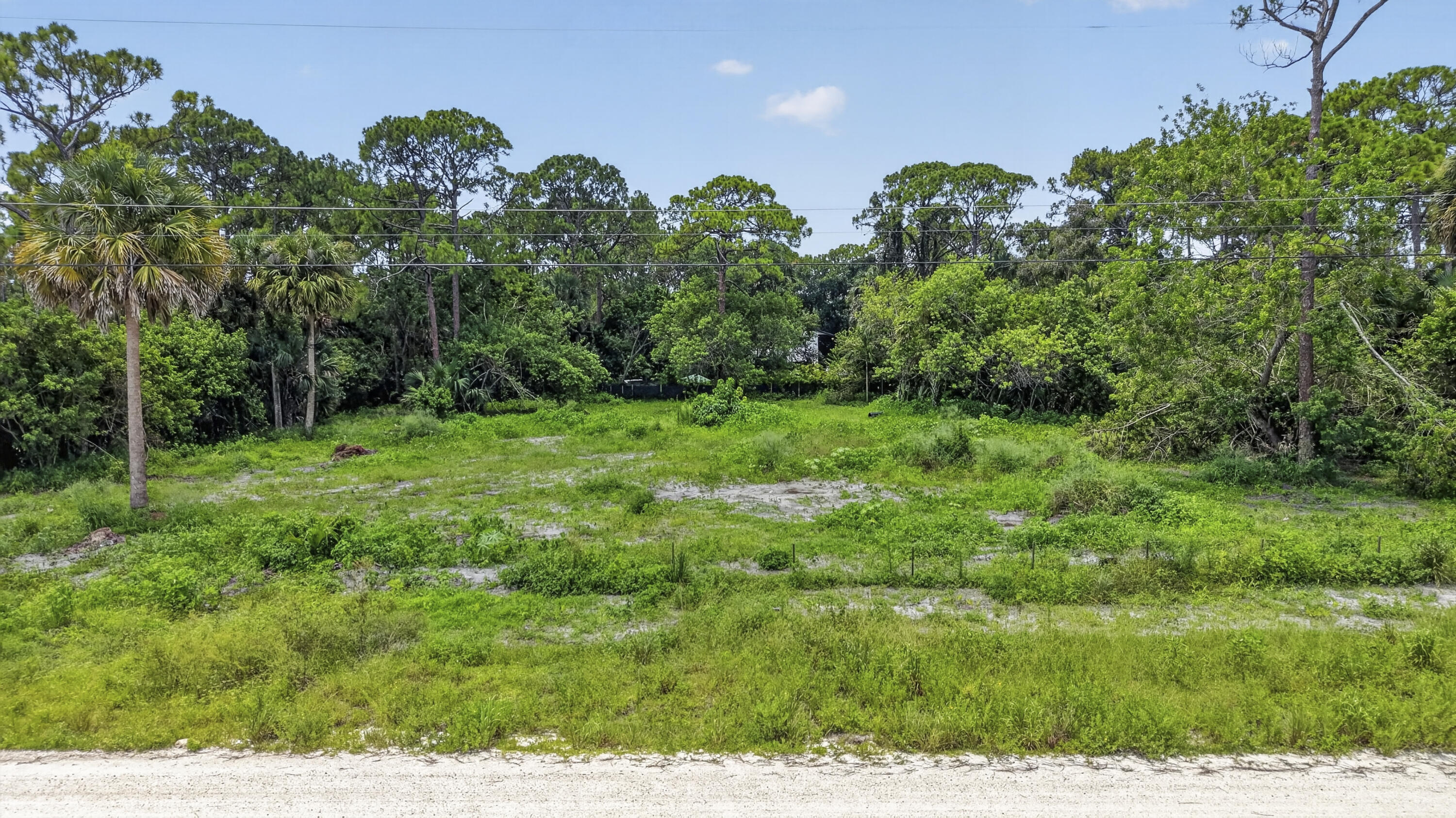 17072 93rd Road North The Acreage, FL 33470 - Photo 19 of 22 DJI_20260713124403_0616_D