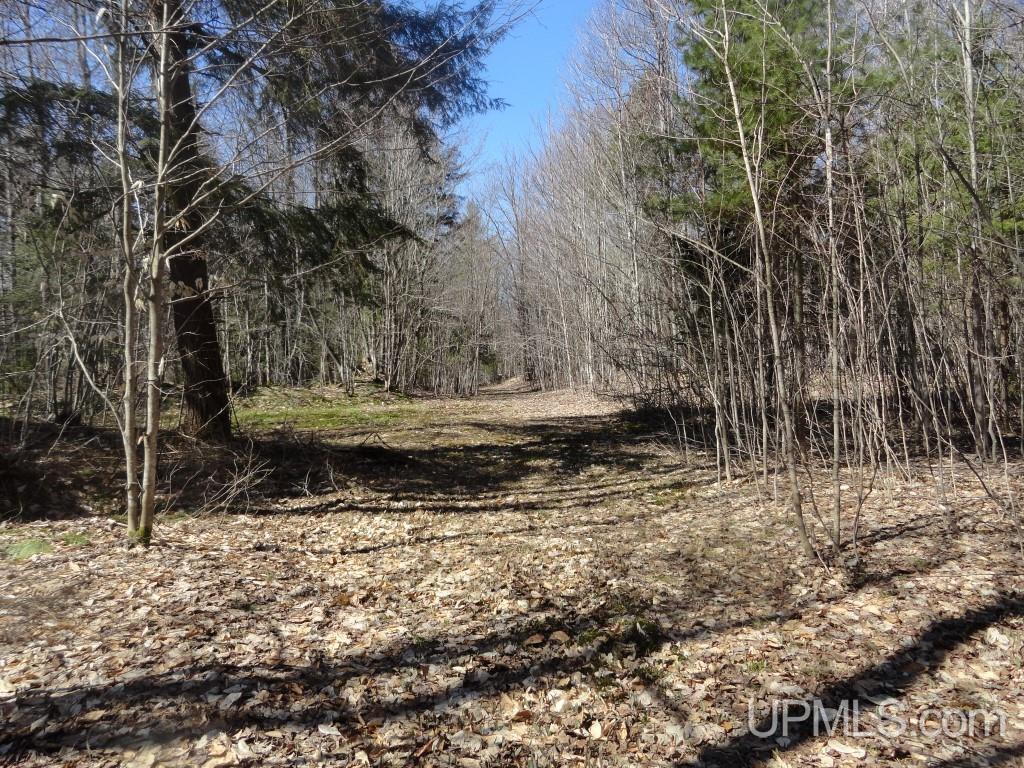 Tbd Crossover Road Munising, MI 49862 - Photo 1 of 2