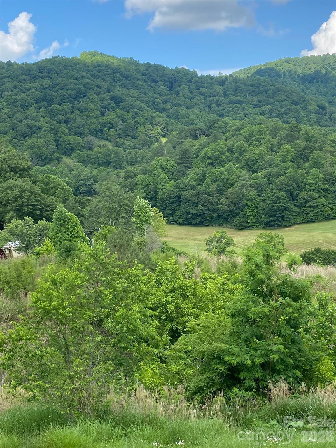 0 East Fork Road Marshall, NC 28753 - Photo 12 of 22