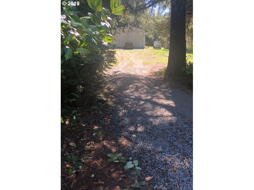 84954 Branch Road Florence, OR 97439 - Photo 11 of 26 Gallery Image 11