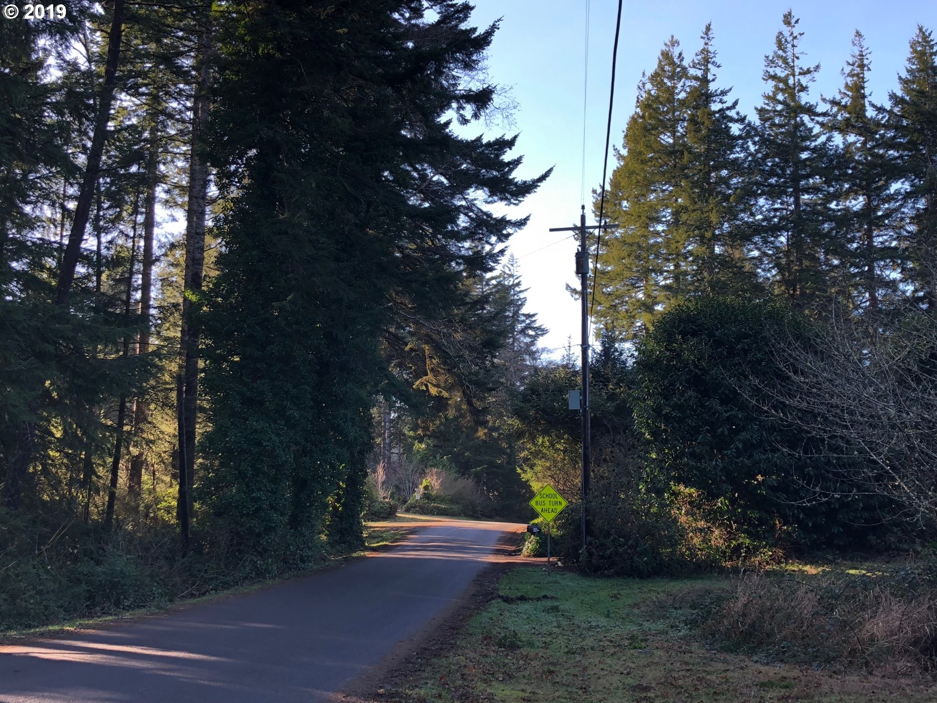 84954 Branch Road Florence, OR 97439 - Photo 14 of 26 Gallery Image 14