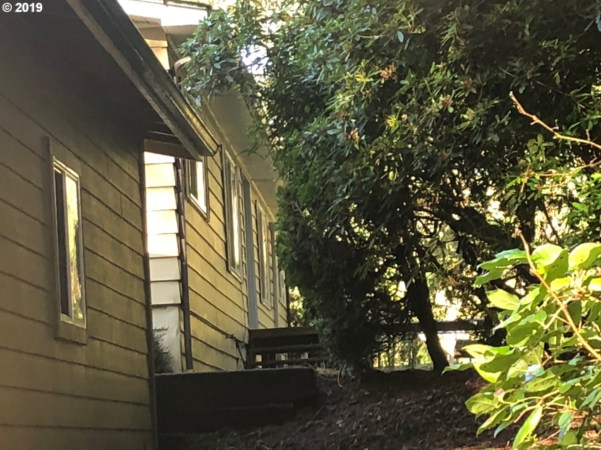 84954 Branch Road Florence, OR 97439 - Photo 5 of 26 Gallery Image 5