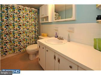 250 Ridge Pike, Unit C352 Lafayette Hill, PA 19444 - Photo 11 of 11 Bathroom