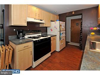250 Ridge Pike, Unit C352 Lafayette Hill, PA 19444 - Photo 5 of 11 Kitchen
