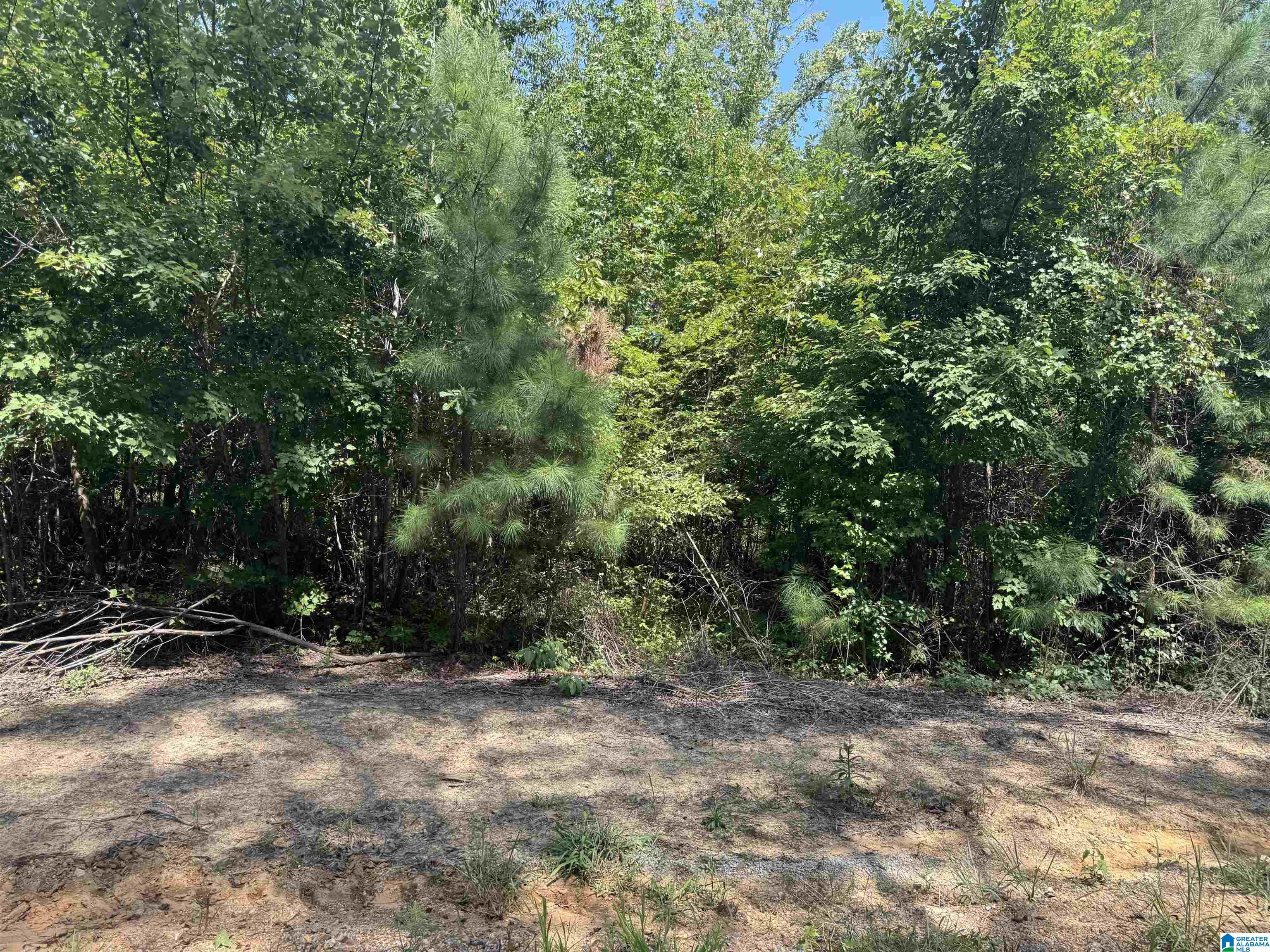 Short Town Road, Unit 123 West Blocton, AL 35184 - Photo 5 of 5