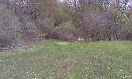 21381 Otter Road Belleville, MI 48111 - Photo 12 of 18 IMAGE_932