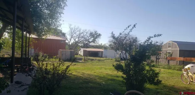 a view of a garden with plants and large trees