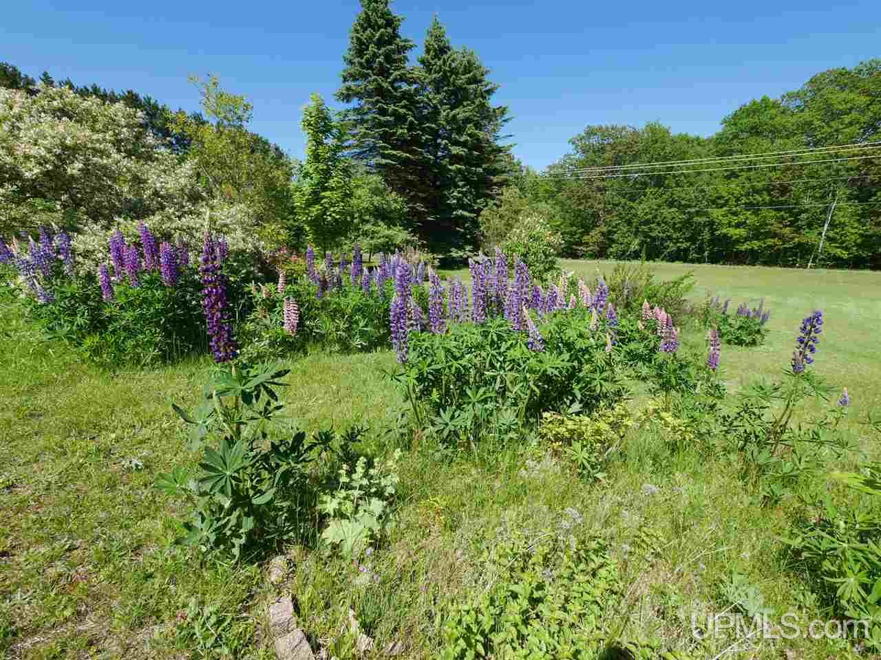 46687 Paradise Road Houghton, MI 49931 - Photo 26 of 33 Gallery Image 26