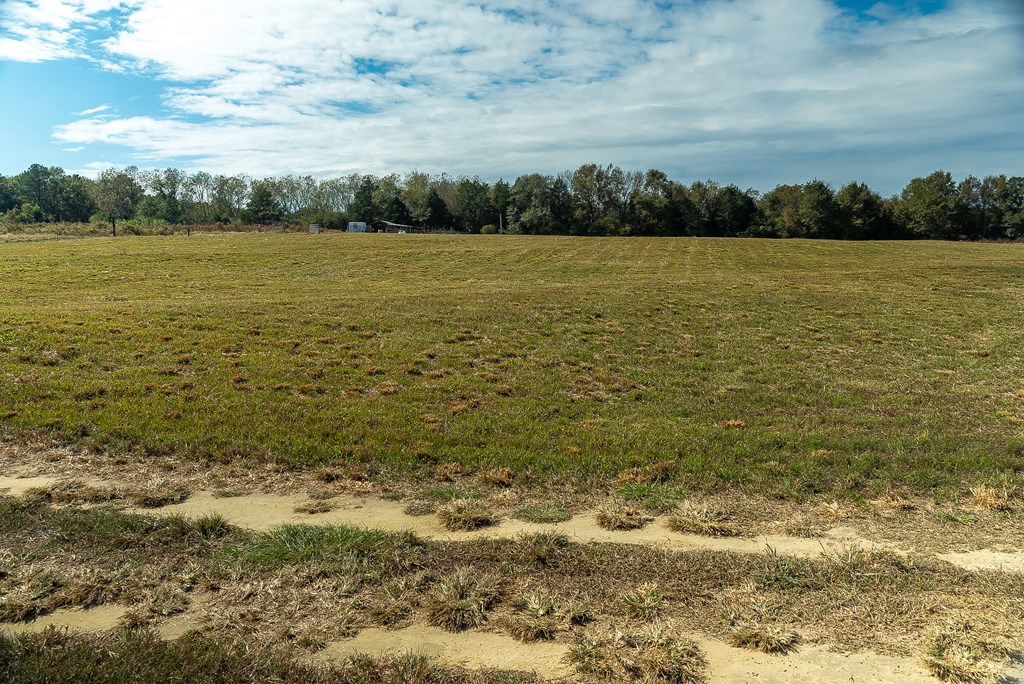 0 J B J B Jackson Road Webb, AL 36376 - Photo 22 of 38