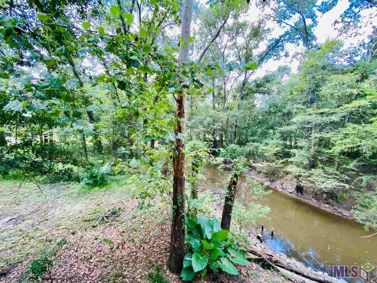 18677 Blythe Road Prairieville, LA 70769 - Photo 3 of 18 View From Covered Porch