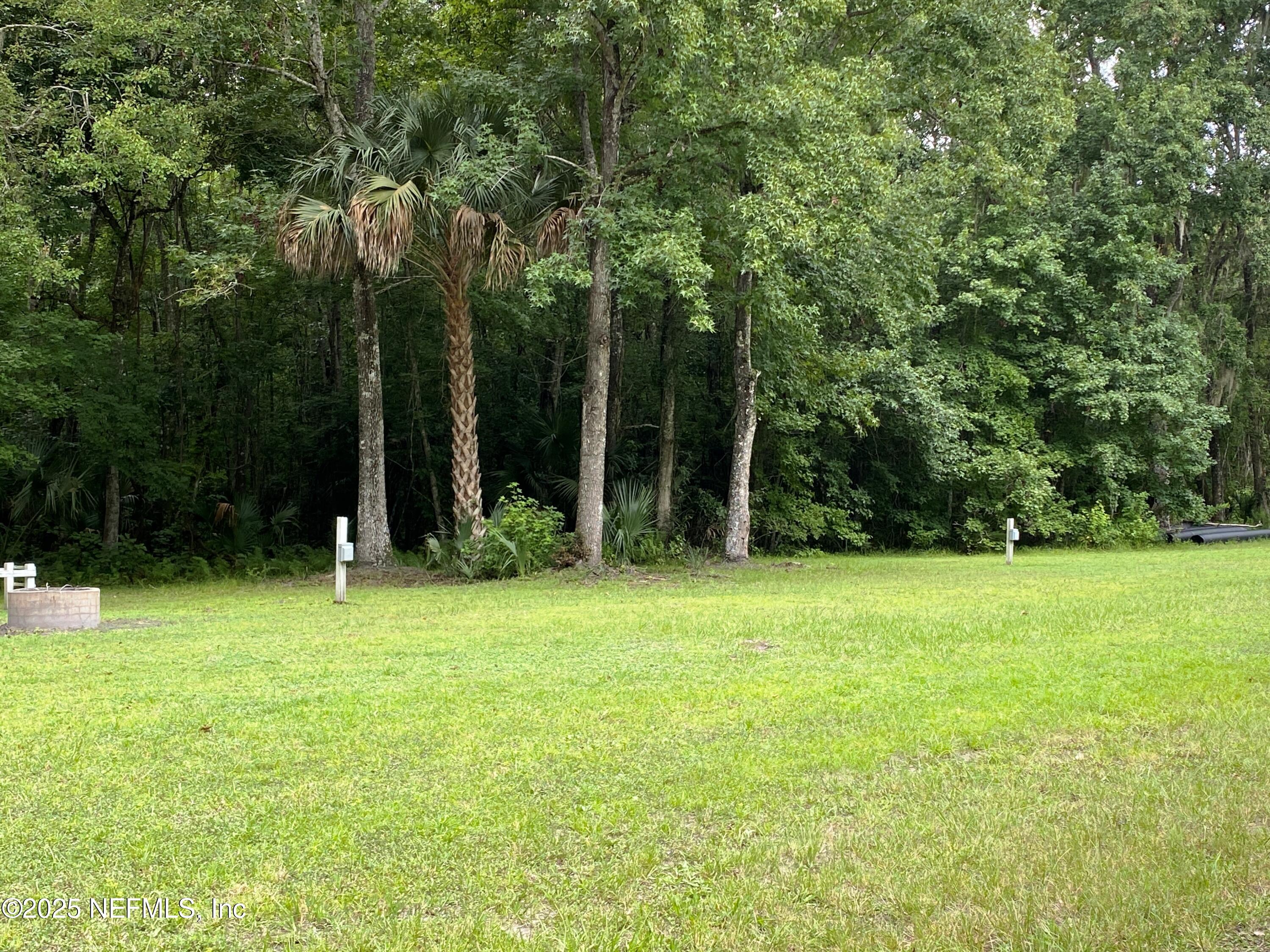 0 Georgetown Denver Road Georgetown, FL 32139 - Photo 6 of 7 RV hookup sites