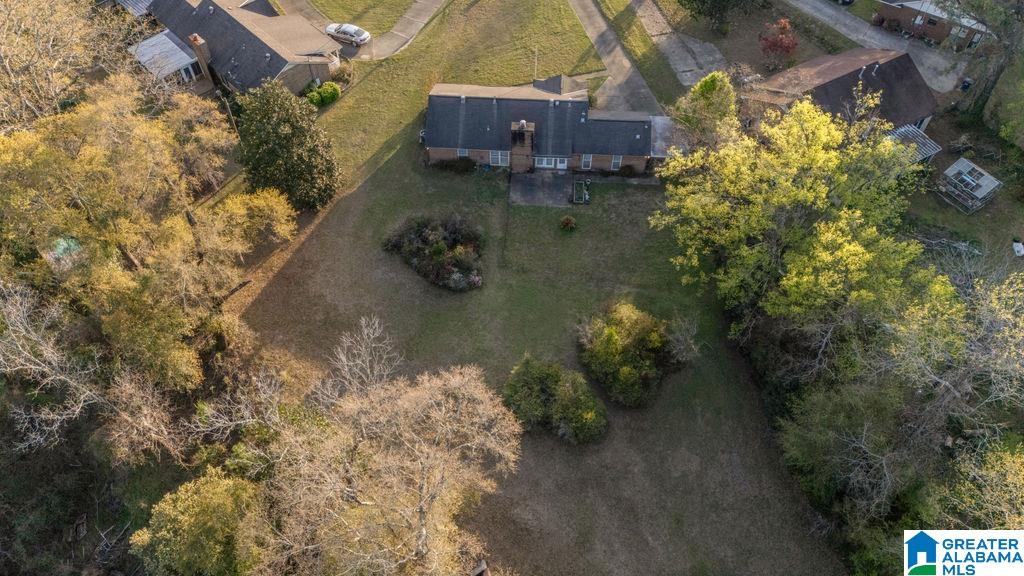 2646 South Cobb Loop Road Millbrook, AL 36054 - Photo 30 of 34 Gallery Image 30
