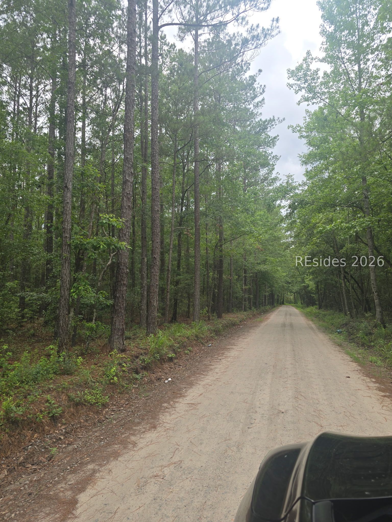 Tbd Firetower Road Ridgeland, SC 29936 - Photo 8 of 17