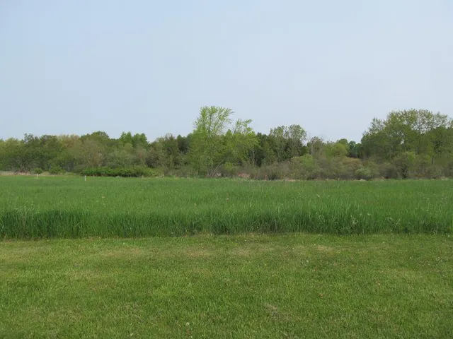 $17,900 | Lot #9 Hemlock Street, McBain, MI 49657