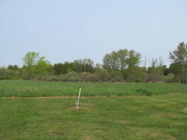 $17,900 | Lot #9 Hemlock Street, McBain, MI 49657