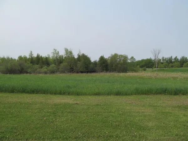 $17,900 | Lot #9 Hemlock Street, McBain, MI 49657