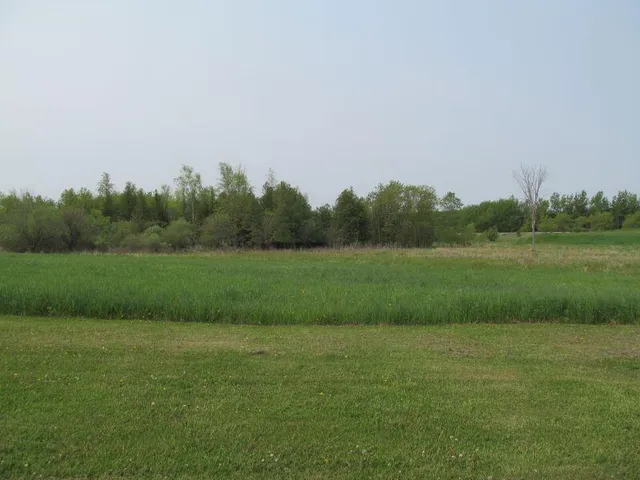 $17,900 | Lot #9 Hemlock Street, McBain, MI 49657