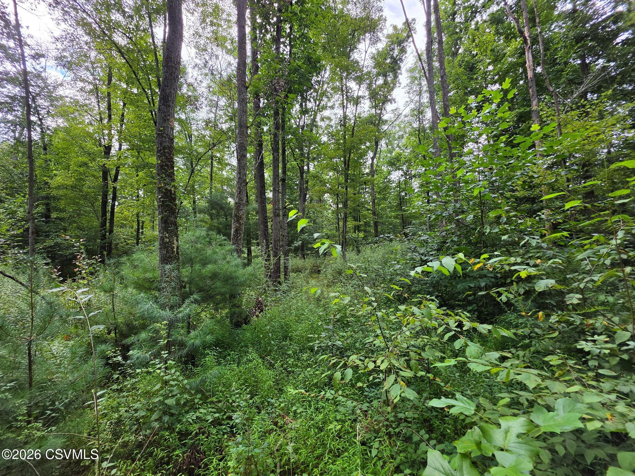 6102 Troxelville Road Beavertown, PA 17813 - Photo 13 of 43 Gallery Image 13