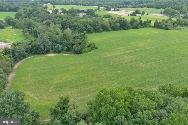 a view of a green field with lots of bushes