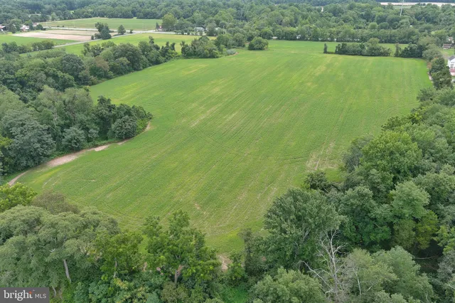 a view of a green field with lots of green space