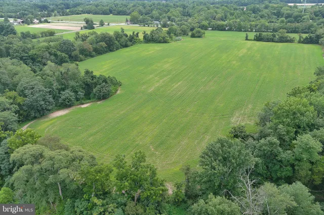 a view of a lush green forest with lots of trees